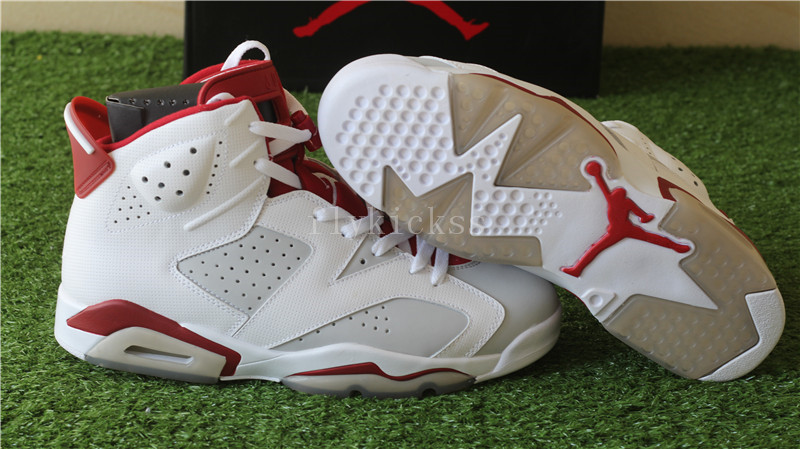 Air Jordan 6 Retro Hare Alternate